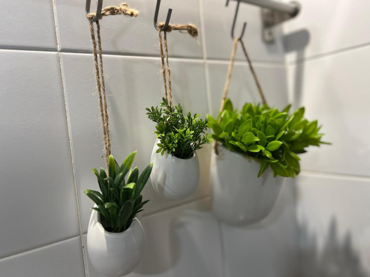 Lovely&Charming Anita'S Apartment 蓬塔德尔加达 外观 照片